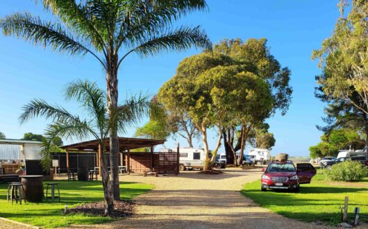 sized-Camp-kitchen-and-picnic-shelter-from-P511-Jan-2024